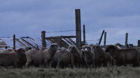 El presidente de la CNFR recordó que en los años noventa “el productor familiar fue el que menos se endeudó”