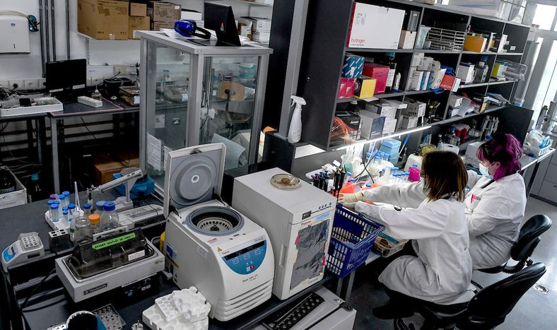 El Instituto Pasteur de Montevideo gastó e invirtió US$ 11,3 millones en investigación y desarrollo en 2024