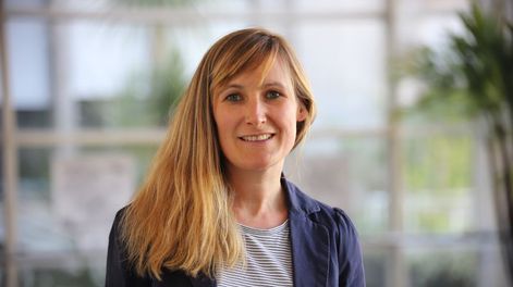 Maestros y profesores perciben “gran sobrecarga” por tareas acumuladas sin formación ni recursos suficientes