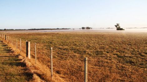 La inversión en tierras en el campo uruguayo resulta atractiva para empresarios argentinos. Foto: Nicolás Der Agopián