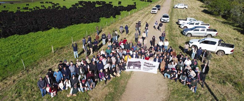 Se estima que unas 300 personas participaron de la gira anual de la raza Aberdeen Angus por establecimientos de Rocha