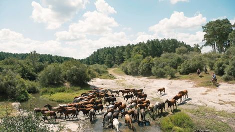 Búsqueda | Fotos: Mirella Frangella