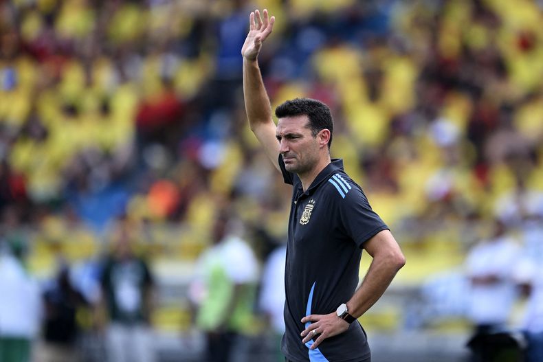 El director técnico de la selección argentina, Lionel Scaloni