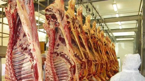 “Si se dan las condiciones de precios el ganado aparece”, sostuvo el coordinador de Grupos Plan, Esteban Montes, al referirse a la oferta de ganado para faena