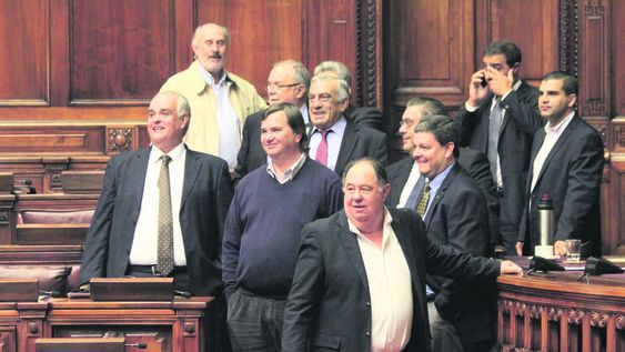 imagen de El 74% de los actuales legisladores buscará ser reelecto en las elecciones, lo que para el politólogo Chasquetti es positivo imagen de El 74% de los actuales legisladores buscará ser reelecto en las elecciones, lo que para el politólogo Chasquetti es positivo