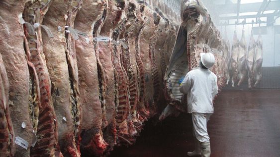 imagen de Frigoríficos preparan primeras ventas para Argentina imagen de Frigoríficos preparan primeras ventas para Argentina