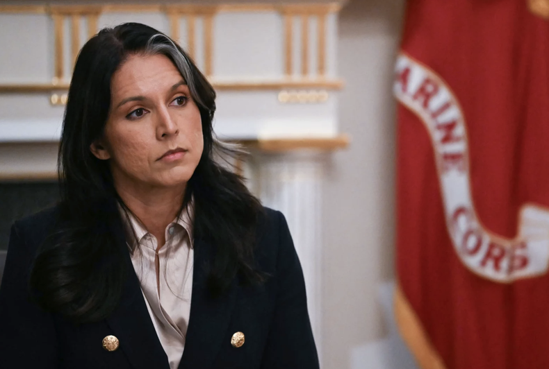 Tulsi Gabbard.