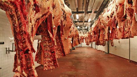 La presencia de residuos de medicamentos veterinarios en la carne uruguaya está en la mira de Estados Unidos. Foto: Nicolás Der Agopián