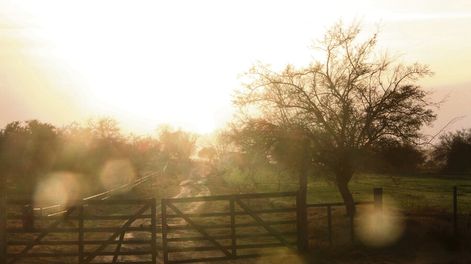 Por un cambio en la política oficial de tierras, el INC dejó de comprar más campos. Foto: Nicolás Der Agopián / Búsqueda