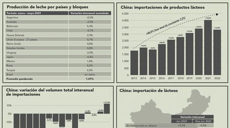 Gráfica: Agro de Búsqueda