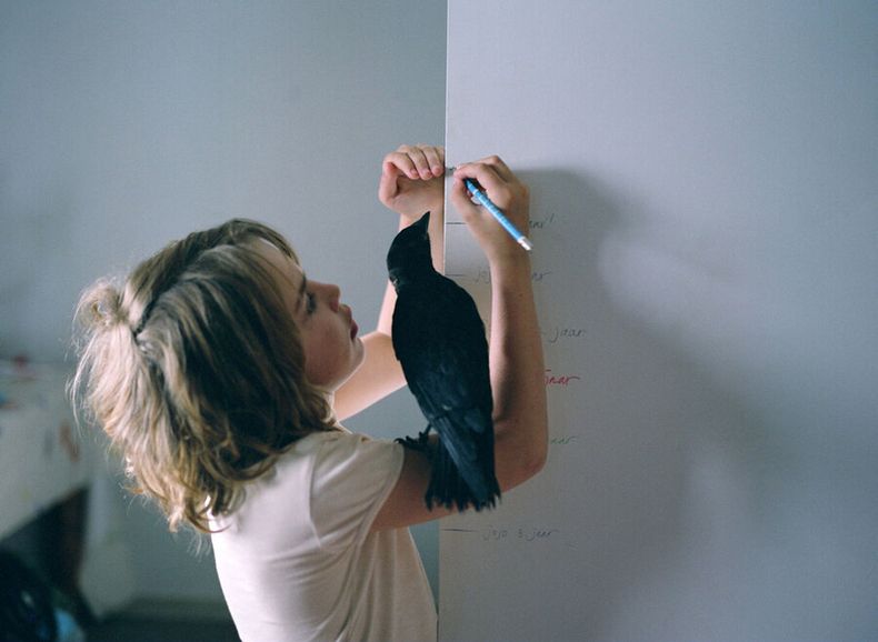 imagen de La lección del cuervo