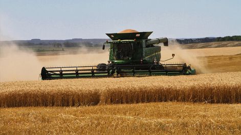 Las importaciones de fertilizantes para el agro aumentaron este año, y totalizaron casi US$ 200 millones. Foto: Nicolás Der Agopián / Búsqueda