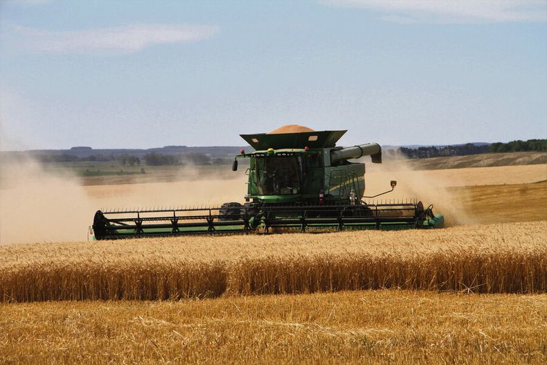 Las importaciones de fertilizantes para el agro aumentaron este año, y totalizaron casi US$ 200 millones. Foto: Nicolás Der Agopián / Búsqueda