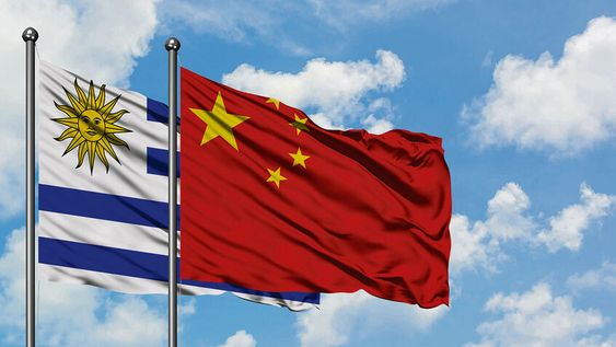 Foto: Revista Verde Foto: Revista Verde