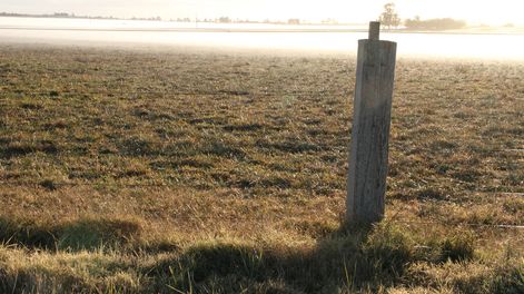 Miles de hectáreas de tierras serán desafectadas de la administración estatal, lo que valorizará esos campos y liberará a sus propietarios de la posibilidad de