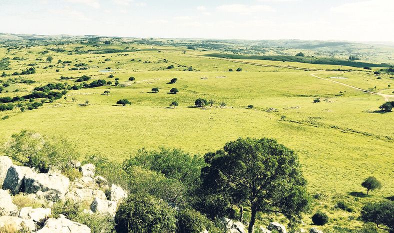 imagen de Cuatro políticos blancos figuran entre los colonos que pueden perder sus tierras