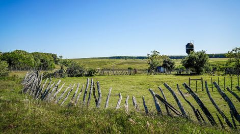 Campo en el departamento de Flores. Foto: Javier Calvelo / adhocFOTOS