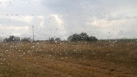 La adaptación al cambio climático fue el indicador más recurrido en las inversiones promovidas. Foto: Nicolás Der Agopián / Búsqueda