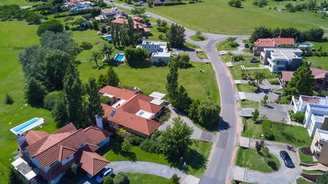 Búsqueda | 66626.jpg