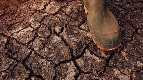 El MGAP estimó el impacto directo de la sequía en US$ 1.867 millones. Foto: Revista Verde