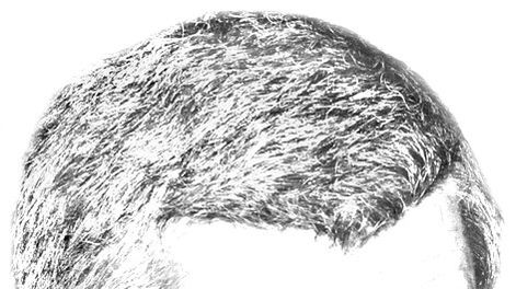 imagen de Sanciones por irregularidades en el manejo de alimentos aplicadas por la Intendencia de Montevideo se quintuplicaron en el 2012