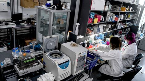 Búsqueda | Instituto Pasteur de Montevideo