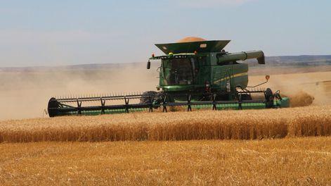 Las perspectivas para la agricultura son más optimistas de cara a la nueva zafra