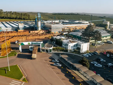 El anuncio de inversión de la industria brasileña BrasPine en Rivera despertó el interés de empresas y productores forestales en sembrar pinos. El anuncio de inversión de la industria brasileña BrasPine en Rivera despertó el interés de empresas y productores forestales en sembrar pinos.