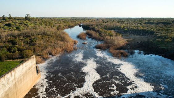 Para Guillermo Goyenola, “se necesitan proyectos más sólidos” para atacar un problema tan estratégico para el país? Para Guillermo Goyenola, “se necesitan proyectos más sólidos” para atacar un problema tan estratégico para el país?