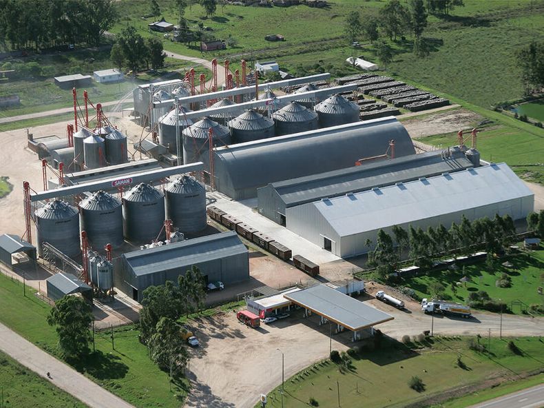 La industria arrocera advierte que la pérdida de competitividad. Foto: Gremial de Molinos Arroceros