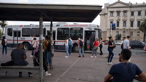 la intendencia de montevideo avanza en un plan de reorganizacion del transporte publico