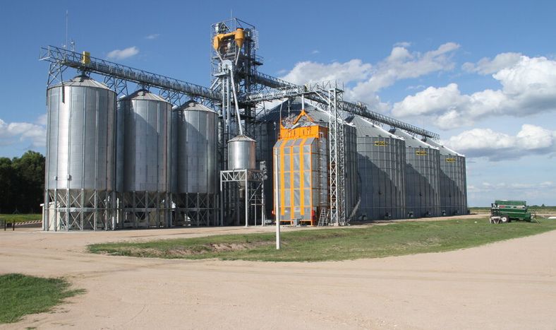 imagen de Las empresas del sector de granos perdieron US$ 362 por hectárea  en el ejercicio comprendido entre 2017 y 2018, según Fucrea