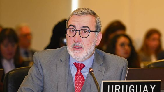 Edison Lanza durante su intervención en la OEA, en Washington. Edison Lanza durante su intervención en la OEA, en Washington.