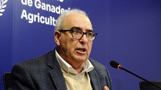El ministro de Ganadería, Agricultura y Pesca, Alfredo Fratti, en la conferencia del 15 de julio, en la que fundamentó su decisión sobre la exportación de ganado El ministro de Ganadería, Agricultura y Pesca, Alfredo Fratti, en la conferencia del 15 de julio, en la que fundamentó su decisión sobre la exportación de ganado