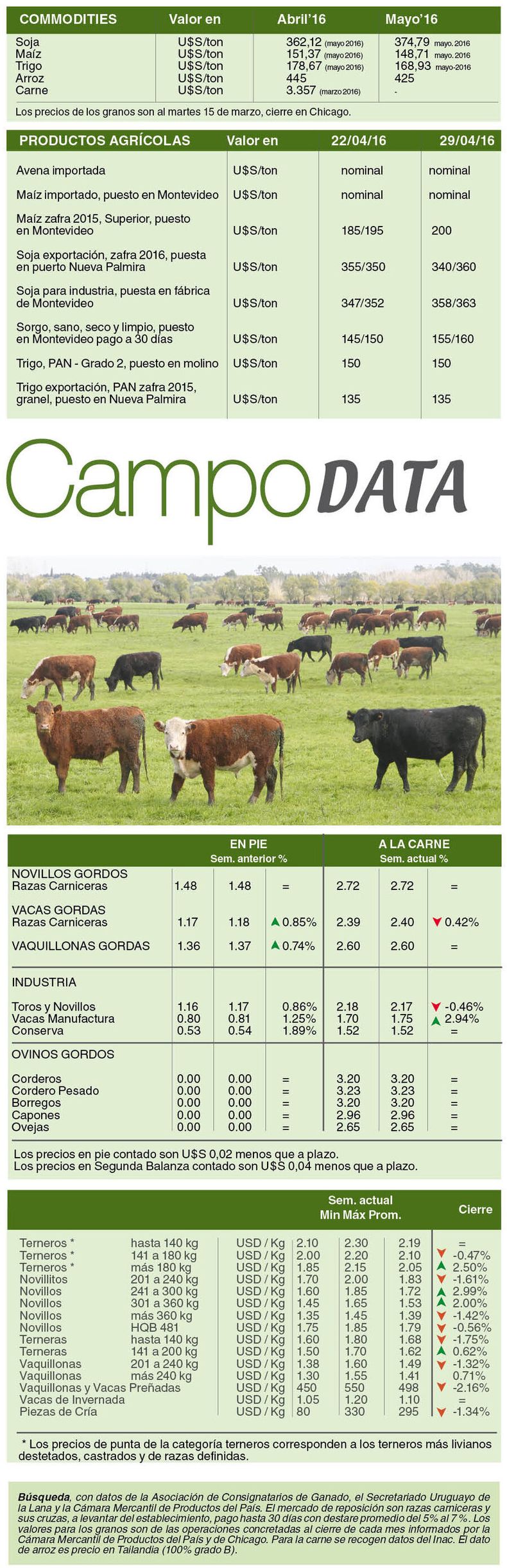 imagen de Campo Data