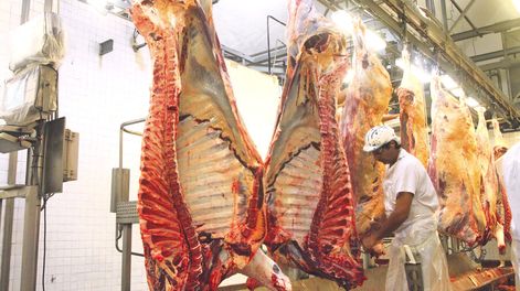 La faena se aceleró porque el mercado chino incrementó la demanda de carnes vacuna y ovina y de menudencias. Foto: Nicolás Der Agopián / Búsqueda