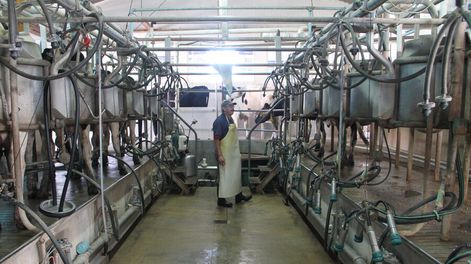 imagen de Industrias y más tamberos reclaman apoyo del gobierno por deudas