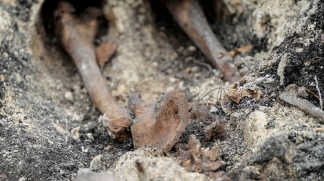 Hallazgo de restos óseos humanos en un predio del Batallón 14, en Toledo, Canelones