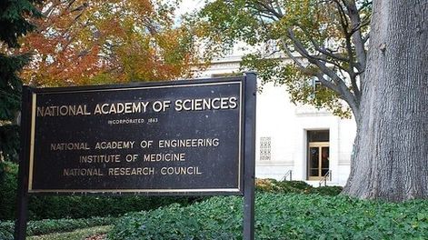 imagen de “Sorpresa total”: astrónomo uruguayo elegido para integrar prestigiosa academia