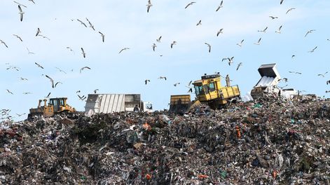 Búsqueda | Debido a su alto impacto ambiental, el cierre de los vertederos a cielo abierto es una de las prioridades de la Ley sobre Gestión Integral de Residuos.. Foto: N