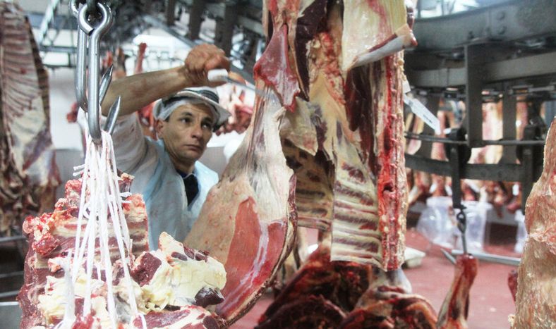 imagen de Instituto de Carnes advierte que la menor disponibilidad de ganado para faena “va a durar 2019, 2020 y buena parte de 2021”