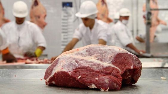 imagen de Primera venta de carne a Japón tras 19 años de suspensión imagen de Primera venta de carne a Japón tras 19 años de suspensión