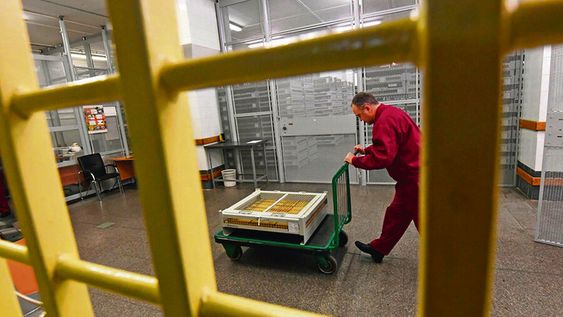 El oro en las bóvedas del Banco de Rusia, en 2018. Foto: Vladimir Velegurin / Russia Beyond El oro en las bóvedas del Banco de Rusia, en 2018. Foto: Vladimir Velegurin / Russia Beyond