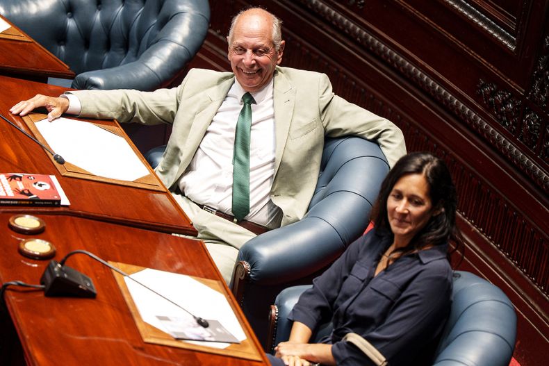 Los diputados de Identidad Soberana, Gustavo y Nicolle Salle.