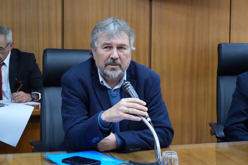 Diego Pastorín en la Comisión Especial de Innovación, Ciencia y Tecnología.