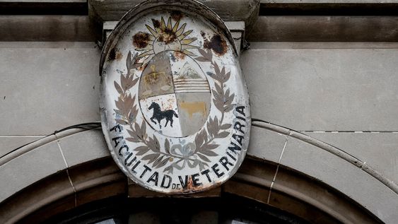 Centro Universitario de Facultad de Veterinaria de la Udelar, previo a su mudanza. Foto: Javier Calvelo / adhocFOTOS Centro Universitario de Facultad de Veterinaria de la Udelar, previo a su mudanza. Foto: Javier Calvelo / adhocFOTOS
