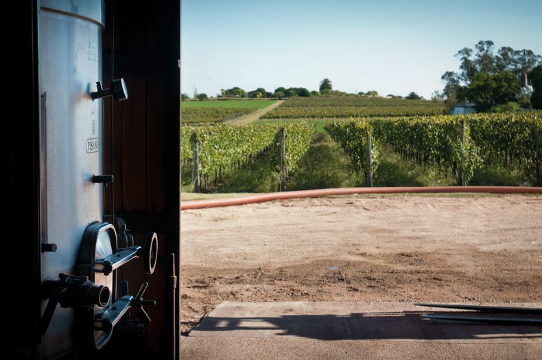 Foto: Adrian Echeverriaga