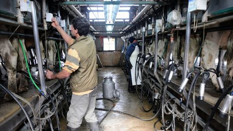 Darío Joircín advirtió por los problemas financieros que enfrentan muchos productores lecheros, sobre todo los de menor escala, así como el cierre de más industrias