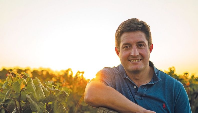 imagen de Los vinos uruguayos están de moda en el mundo