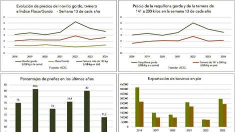 imagen de Salen a venta los terneros gestados en la sequía, que tienen gran colocación por la disponibilidad de forraje